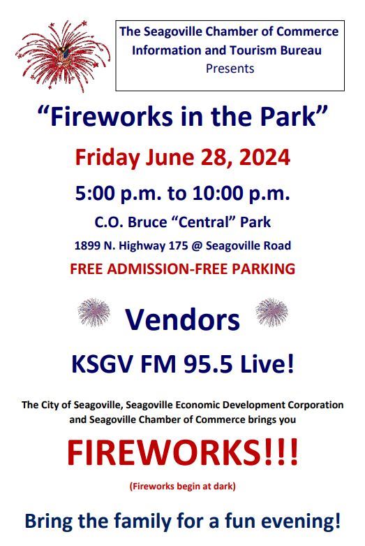 Fireworks Poster 2024